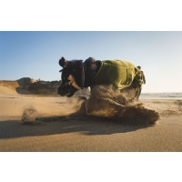 Ruffwear Climate Changer Fleeceweste Cedar Green M