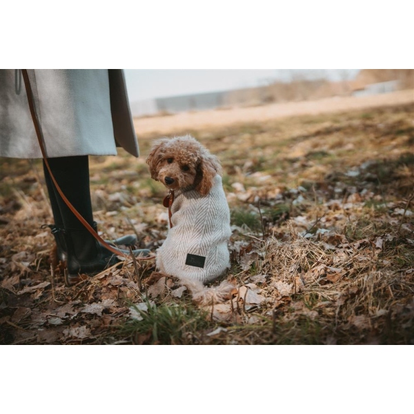 Produktbild von Hunter Hundepullover GENF, Farbe: Beige, Strickpullover Für Kalte Tage, Weich, Anschmiegsam, Recyceltes Polyester, Waschbar, Umgschlagbarer