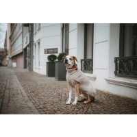 HUNTER Hundepullover Genf beige 35