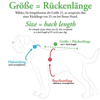 HUNTER Hundepullover Genf beige 35