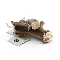 Nosli Hirschgeweih ganz S (50-75g)