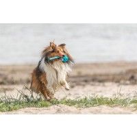 Trixie Wabenball am Seil