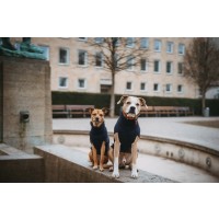 HUNTER Hundepullover Genf dunkelblau