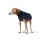 HUNTER Hundepullover Genf dunkelblau