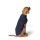 HUNTER Hundepullover Genf dunkelblau