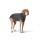 HUNTER Hundepullover Genf anthrazit