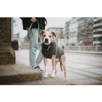 HUNTER Hundepullover Genf anthrazit 55