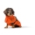Hunter Hundemantel Nordby Dachshund orange