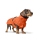 Hunter Hundemantel Nordby Dachshund orange