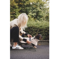 Hunter Hundemantel Nordby Dachshund creme