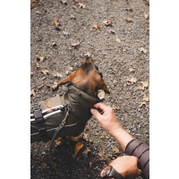 Hunter Hundemantel Nordby Dachshund oliv