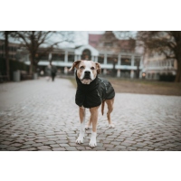 Hunter Hundemantel Nordby schwarz