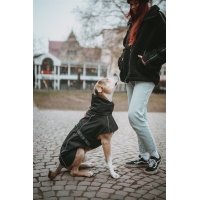 Hunter Hundemantel Nordby schwarz