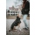 Hunter Hundemantel Nordby schwarz