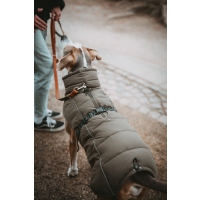 Hunter Hundemantel Paxson oliv