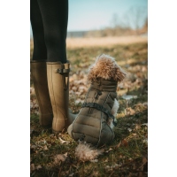 Hunter Hundemantel Paxson oliv
