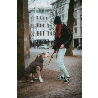Hunter Hundemantel Paxson oliv