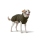 Hunter Hundemantel Paxson oliv