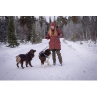 Pinewood 3302 Finnveden Hybrid Extrem Damen Hose Oliv (723) 38-S