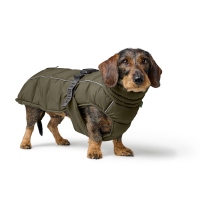 Hunter Hundemantel Paxson Dachshund oliv