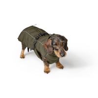 Hunter Hundemantel Paxson Dachshund oliv