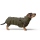 Hunter Hundemantel Paxson Dachshund oliv