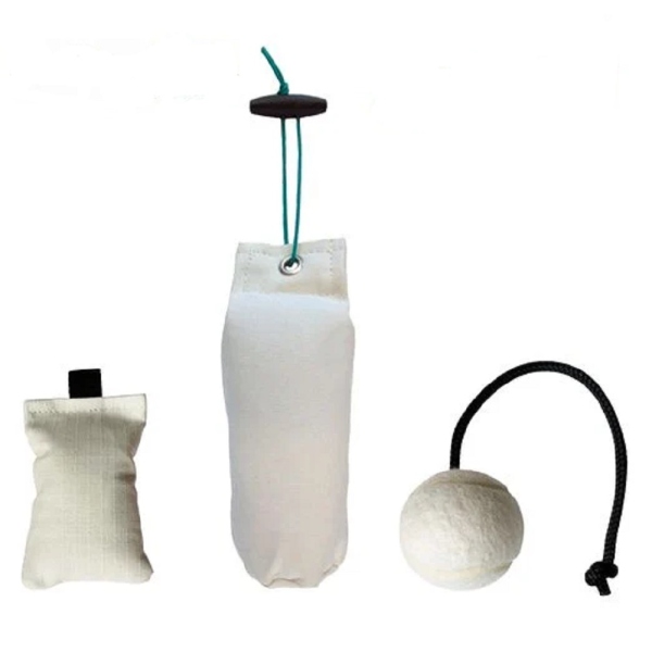 Sporting Saint Andy Cullen Welpen-Paket