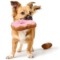 HUNTER Hundespielzeug Belem Donut (braun/rosa) 16 cm