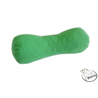 Bracco Teacher Dummy Pro 500g hellgrün