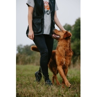 Pinewood 3439 Dog Sports Damen T-Shirt Grey Activity (468)