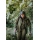 Pinewood 3825 Furudal Hunters Hybrid Stretch Damen Jacke Olive Green (770)