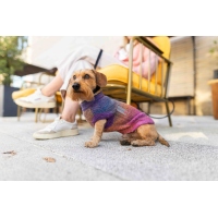 Wolters Strickpullover Rainbow