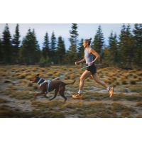 Ruffwear Front Range Flex Geschirr Polar Blue