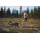 Ruffwear Front Range Flex Geschirr Polar Blue