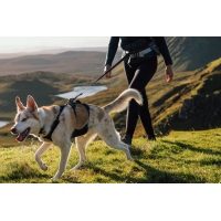 Ruffwear Ridgeline Leine Obsidian Black