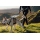 Ruffwear Ridgeline Leine Obsidian Black