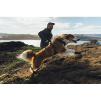 Ruffwear Ridgeline Hundeschuhe Obsidian Black