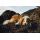 Ruffwear Ridgeline Hundeschuhe Obsidian Black