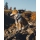 Ruffwear Ridgeline Hundeschuhe Obsidian Black