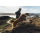 Ruffwear Ridgeline Hundeschuhe Obsidian Black