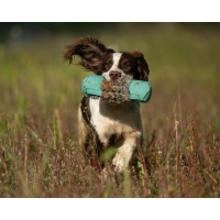 Sporting Saint Endless Dummy 1lb Rabbit