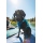 Ruffwear Confluence Schwimmweste für Hunde Biolumin Blue