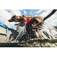 Ruffwear Confluence Schwimmweste für Hunde Tangelo Orange