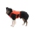 Ruffwear Confluence Schwimmweste für Hunde Tangelo Orange