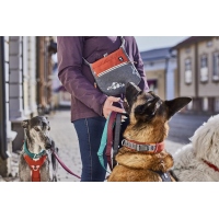 Hurtta Snackbeutel Treat Pocket blackberry-mix