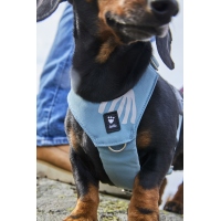 Hurtta Hundegeschirr Seeker Harness stream