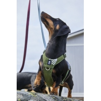 Hurtta Hundegeschirr Seeker Harness forest