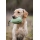 Sporting Saint Retrieve Dummy