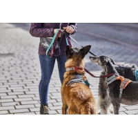 Hurtta Hundegeschirr Rover Harness raven