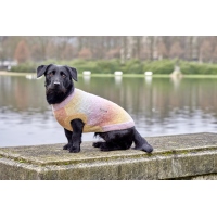 Wolters Strickpullover Sunset